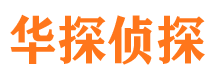 新都市私家侦探